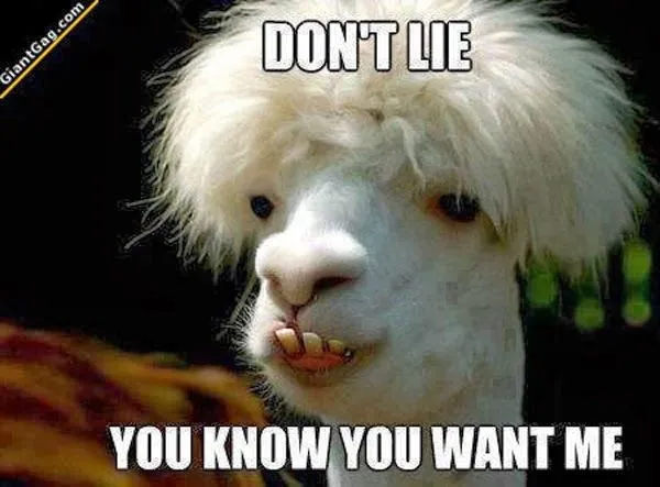 e20108982cdc8659a938c499ea656499--don-t-lie-so-funny.jpg