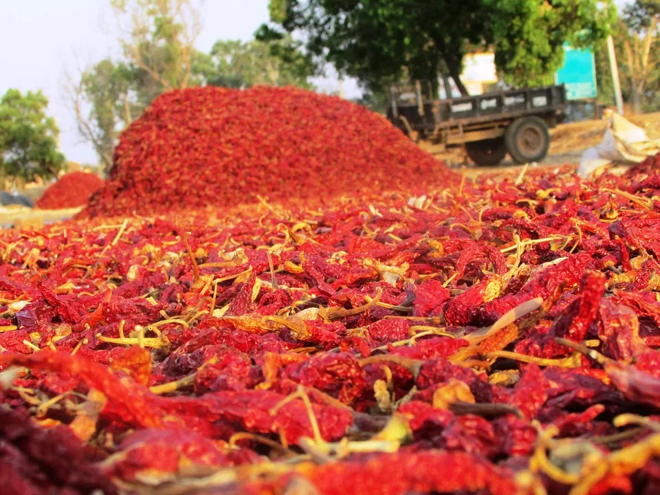 Chili-Pepper-Fruit-Chilli-Pepper-Chile-Pepper-268923.jpg