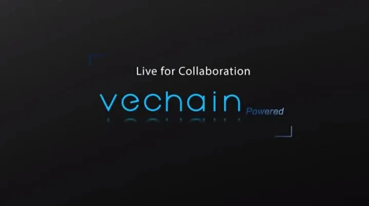 vechain.JPG