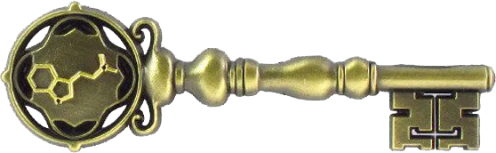 DMT KEY.png