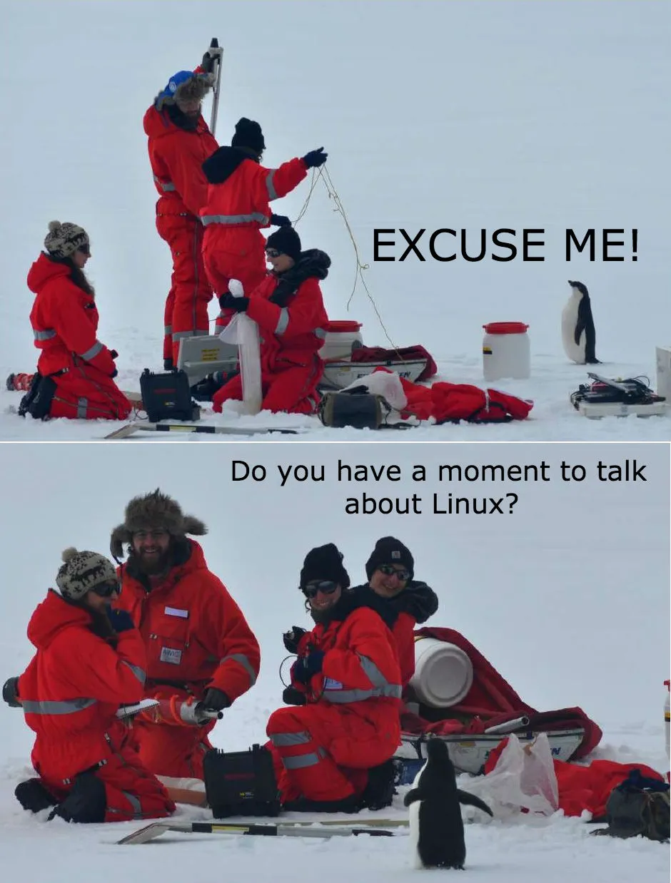 LzYEnFB.jpg
