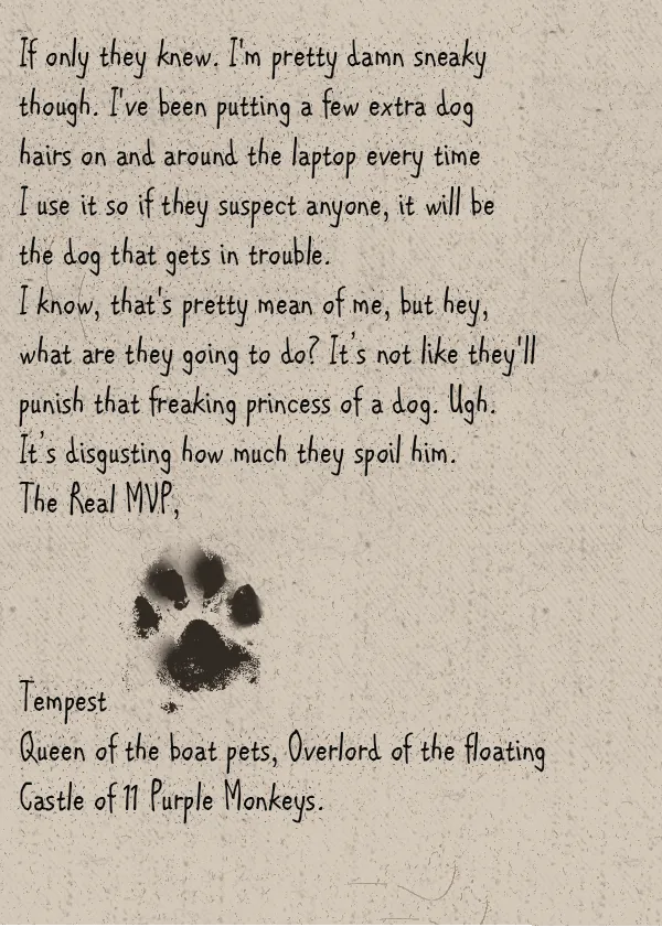 Page-02.png