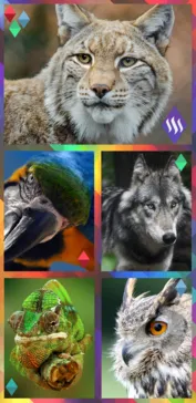 5frame2.png