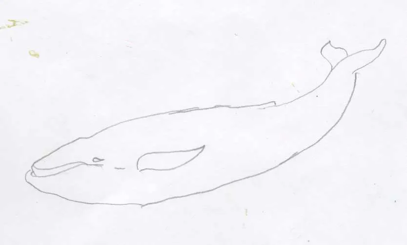 BALLENA.jpg