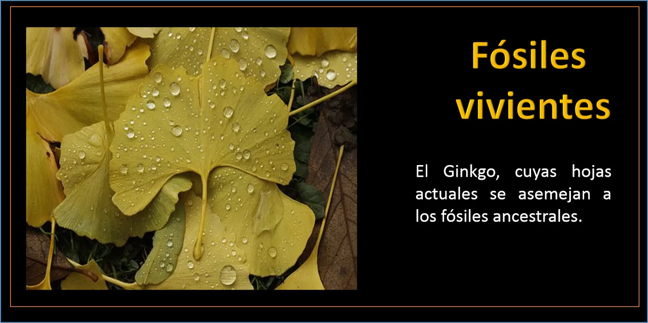 Imagen2.png