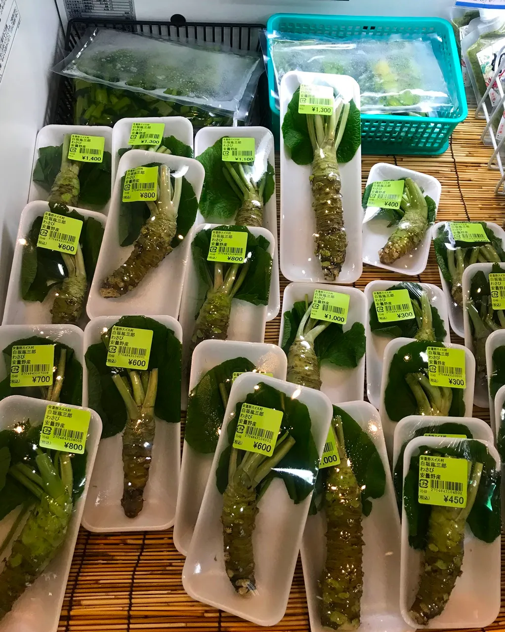 wasabi6.jpg