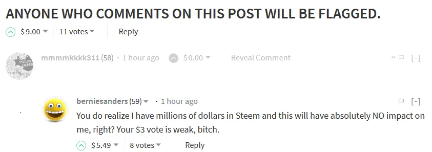 bernie5.png