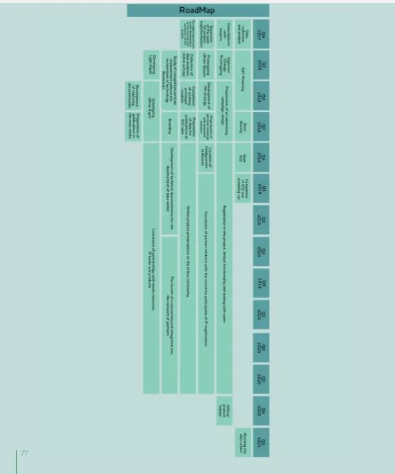 roadmap.png