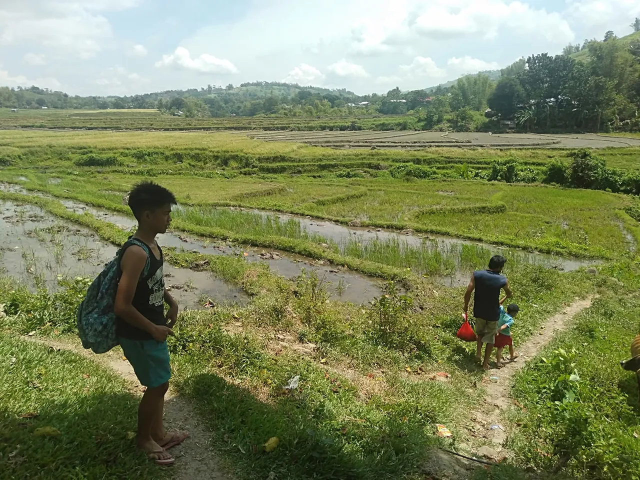 mangapa.jpg