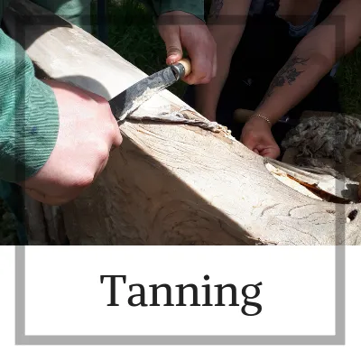 Tanning.png