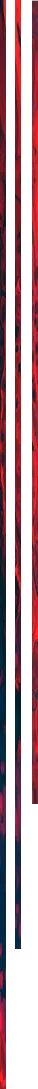 lateral.png