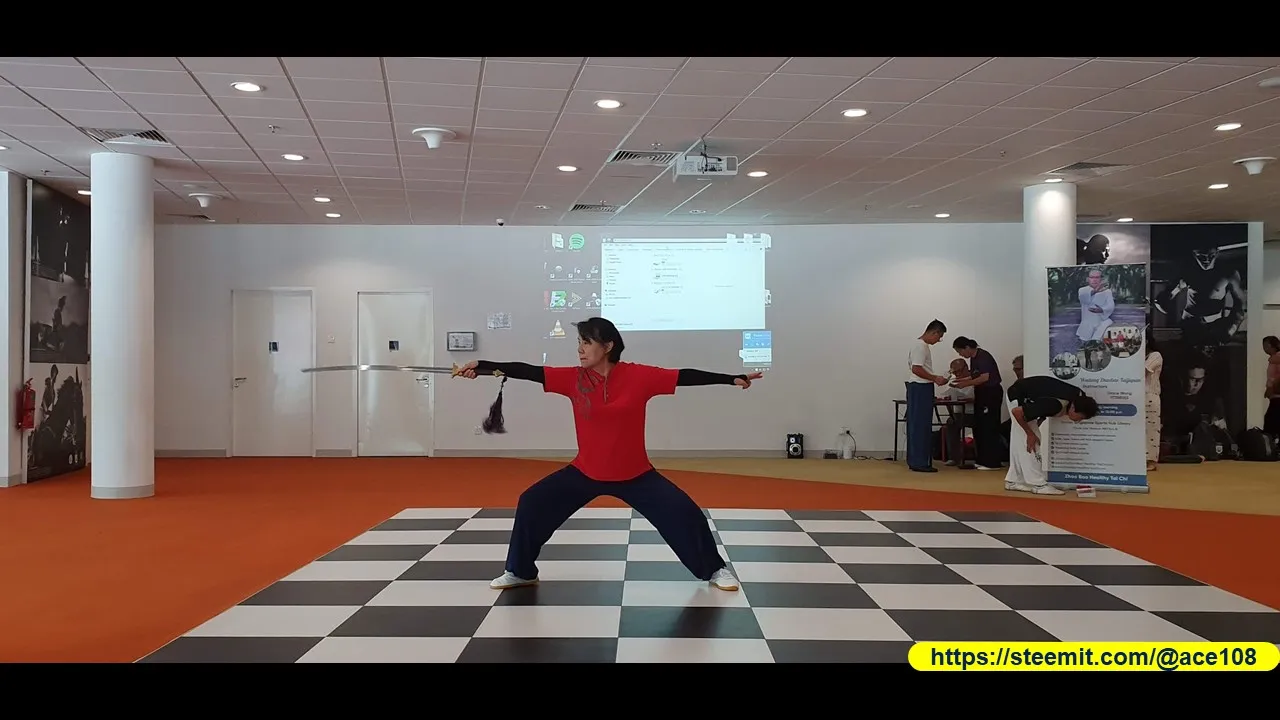 Martial Arts 1