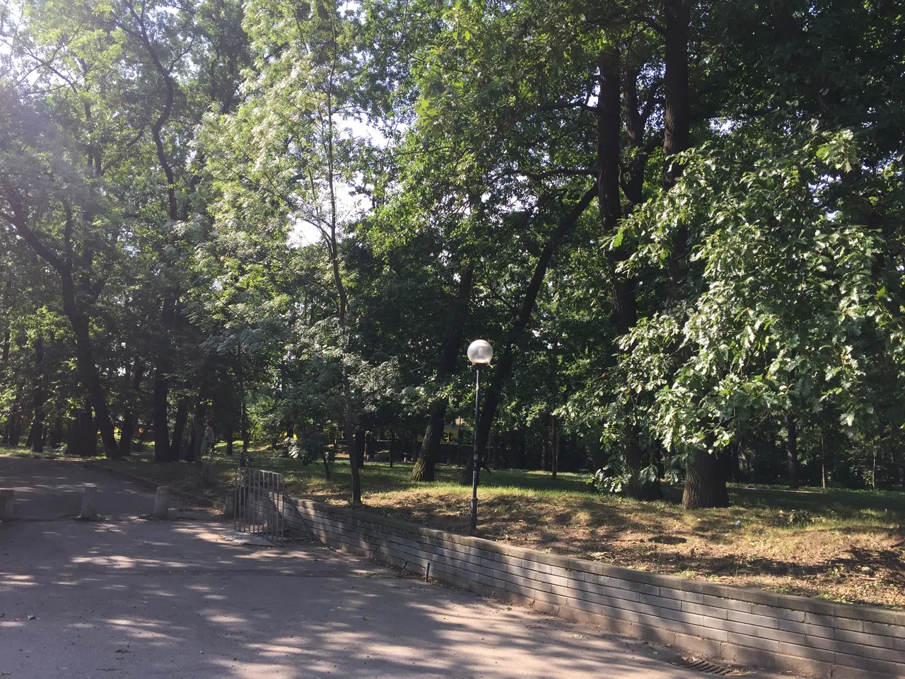 IMG4621.JPG