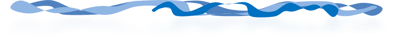 Imagen1.png