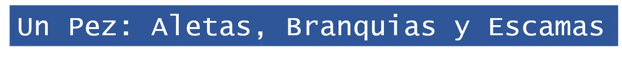 Imagen1.png
