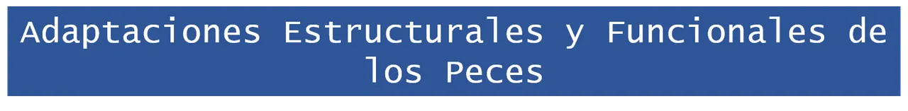 Imagen3.png