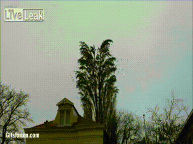 IzWeRXV.gif