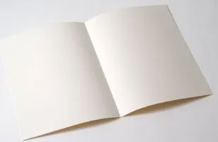Capture.PNG