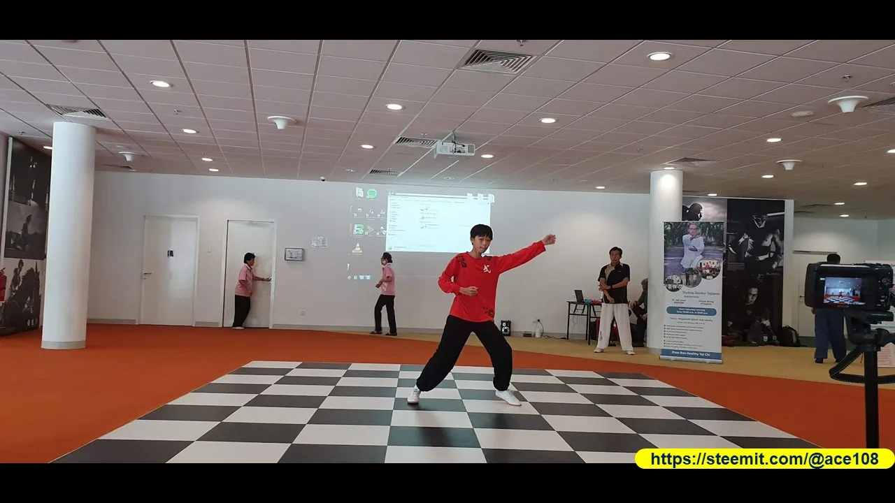 Martial Arts 1