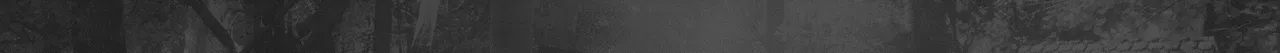 3213123.png
