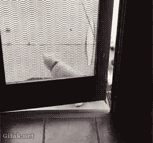 3 (2).gif