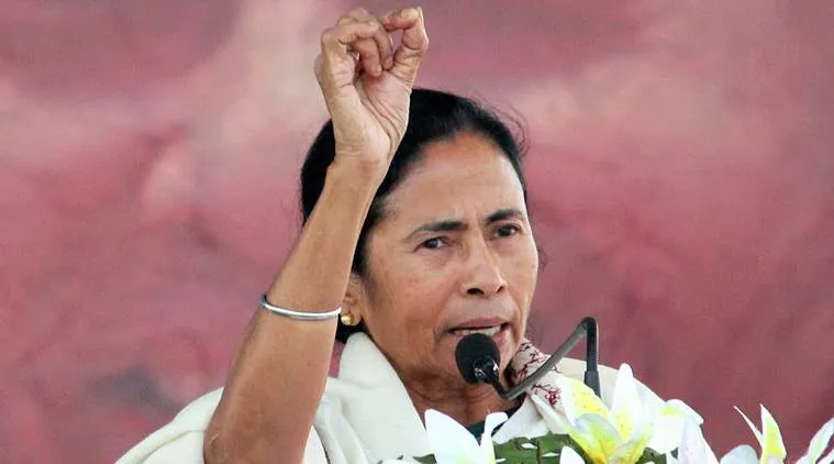 mamata1.jpg