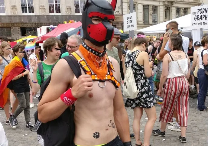 csd 2.JPG