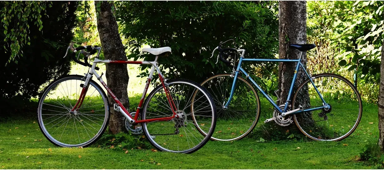 bicycle.jpg