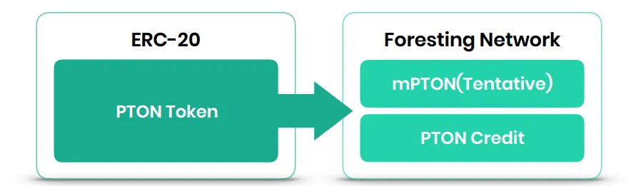 ECOSYS1.PNG