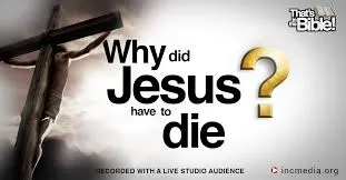images.jpeg