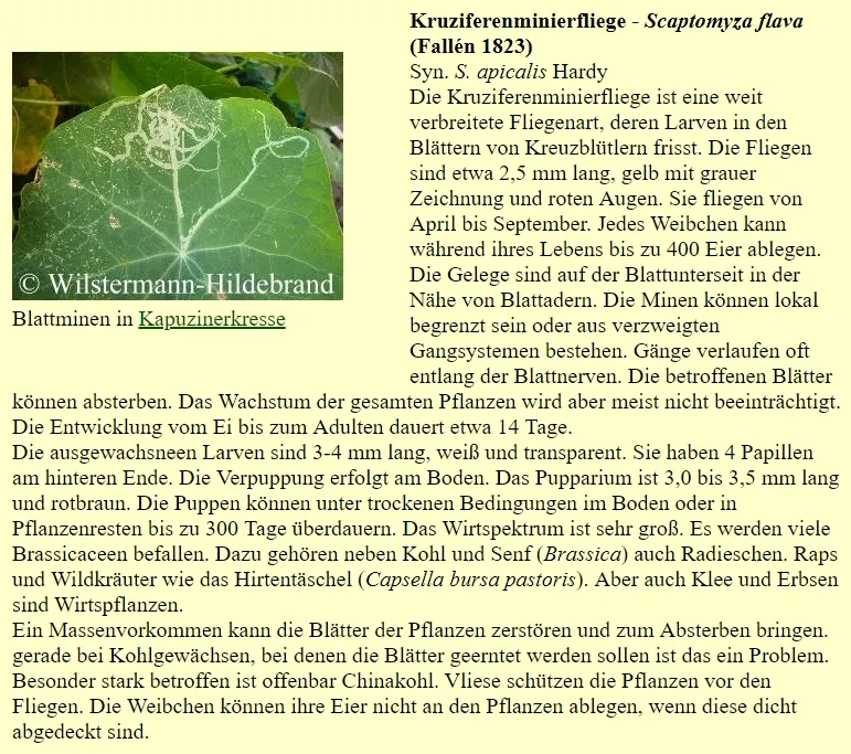 artikel.jpg