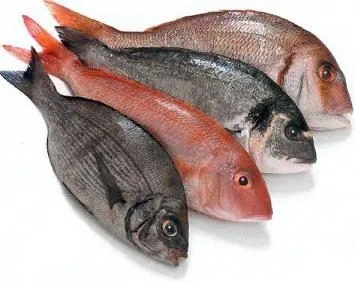 pescado.jpg