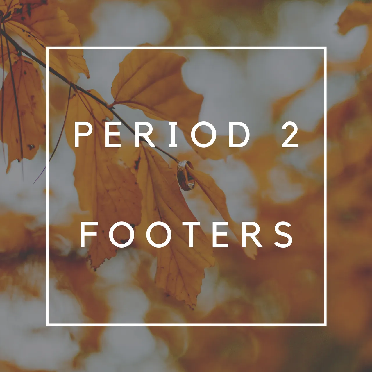 Period 1 Footers 1.png