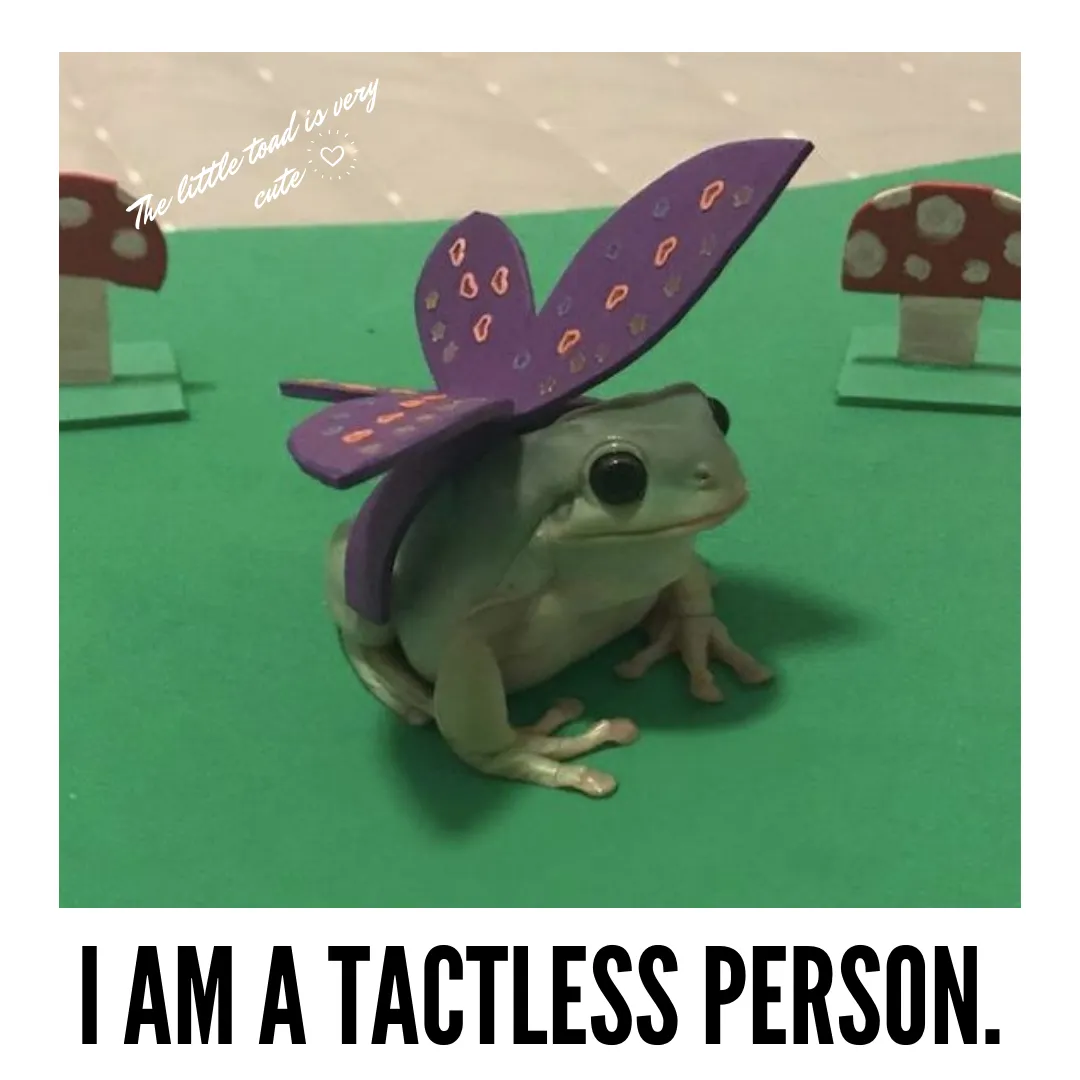 I am a tactless person..png