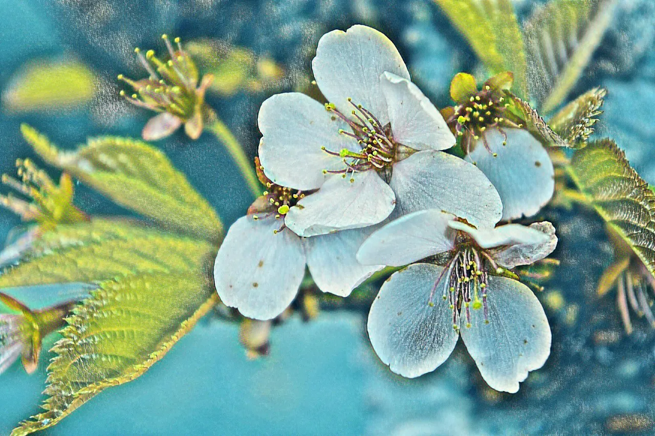 imageedit_52_fantasy.jpg