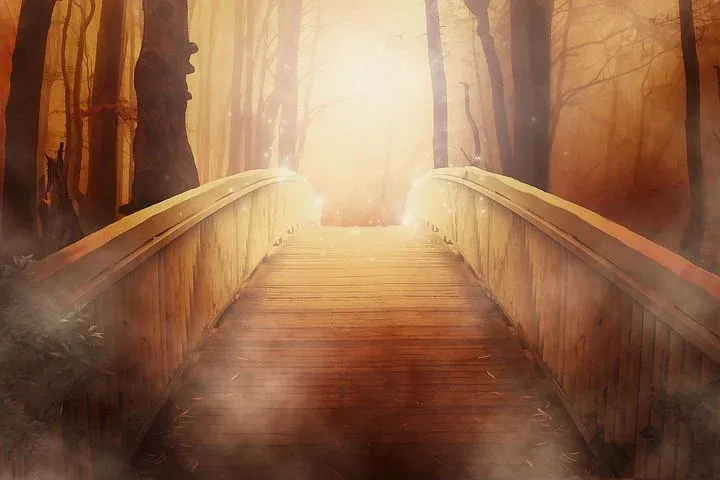 bridge19513__4801.webp
