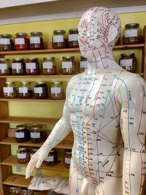 acupuncture2308489_640.jpg