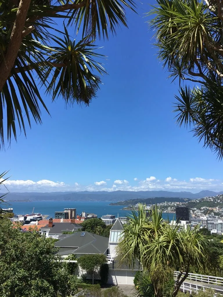 IMG20180109WA0007.jpg