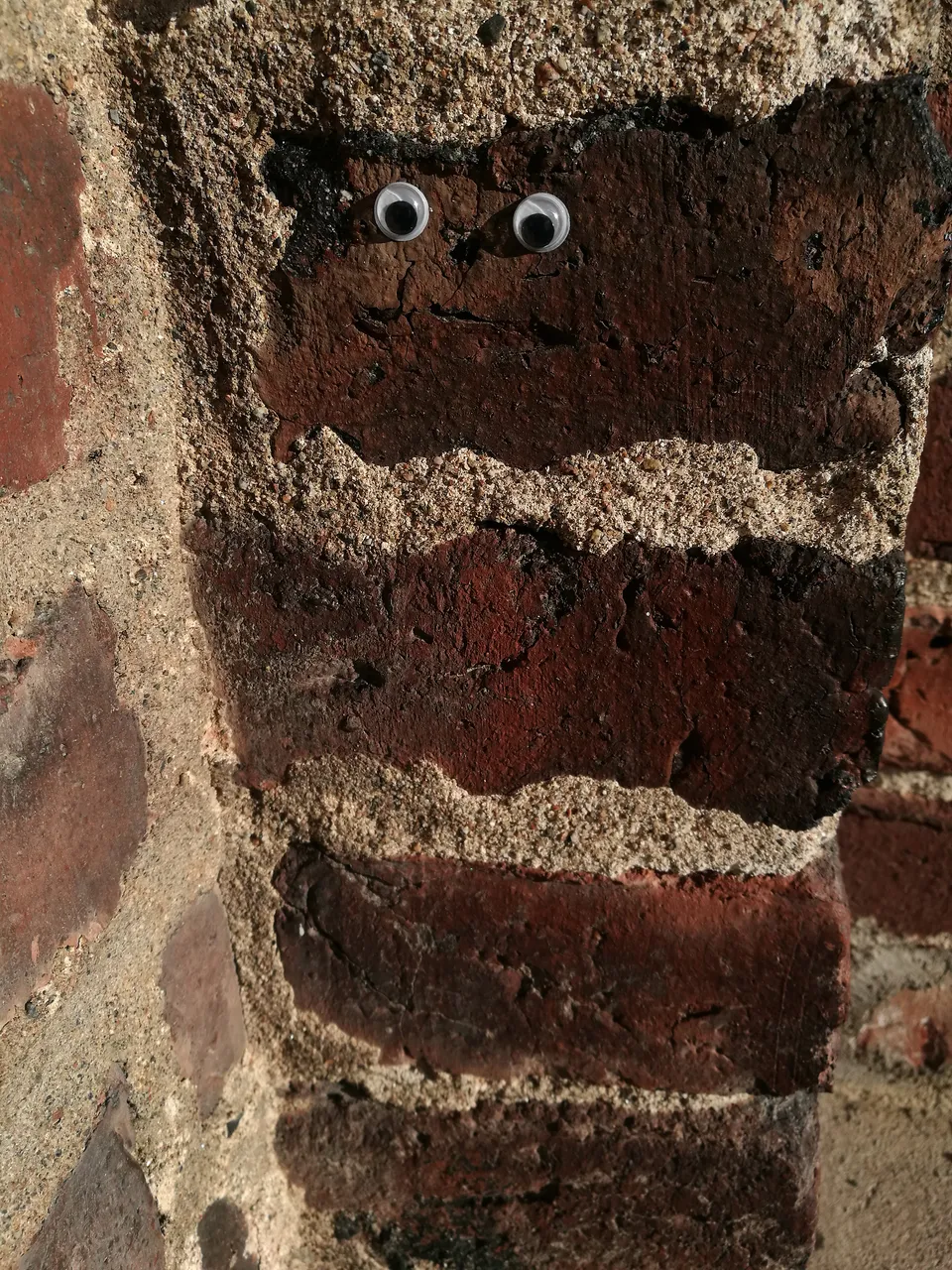 1cIMG_20190509_192125.jpg