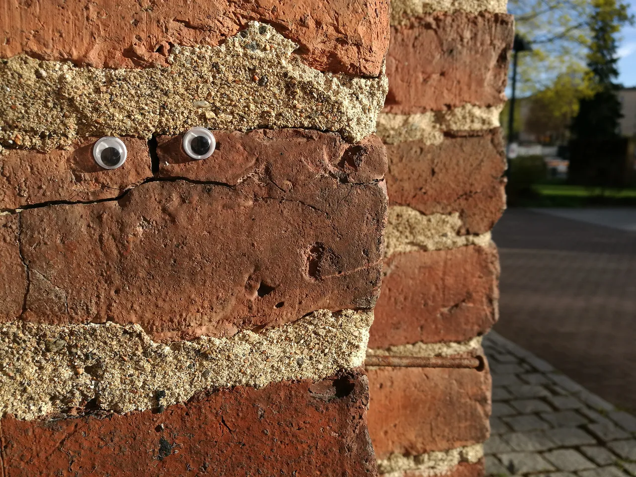 3aIMG_20190509_191650.jpg