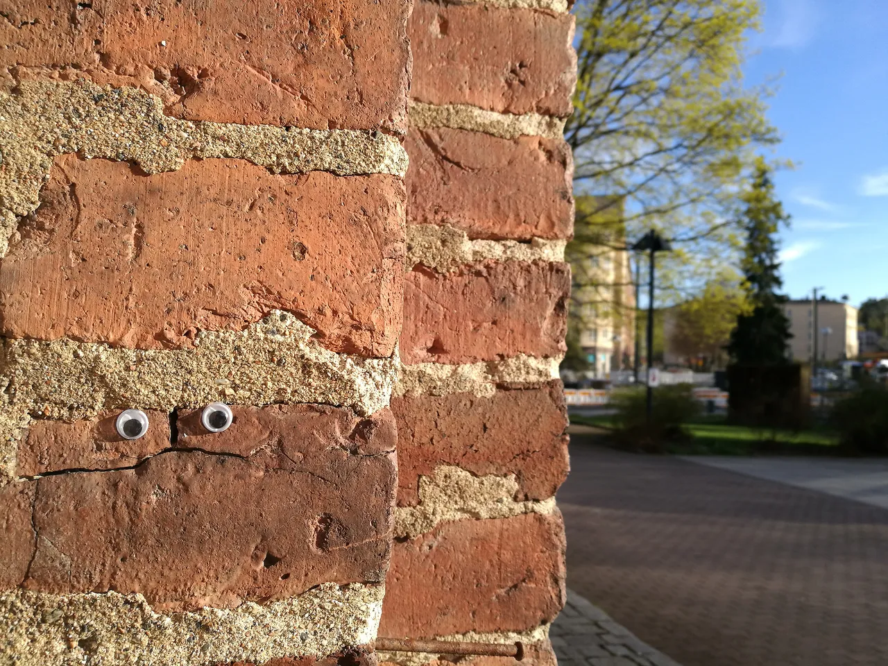 1aIMG_20190509_191804.jpg