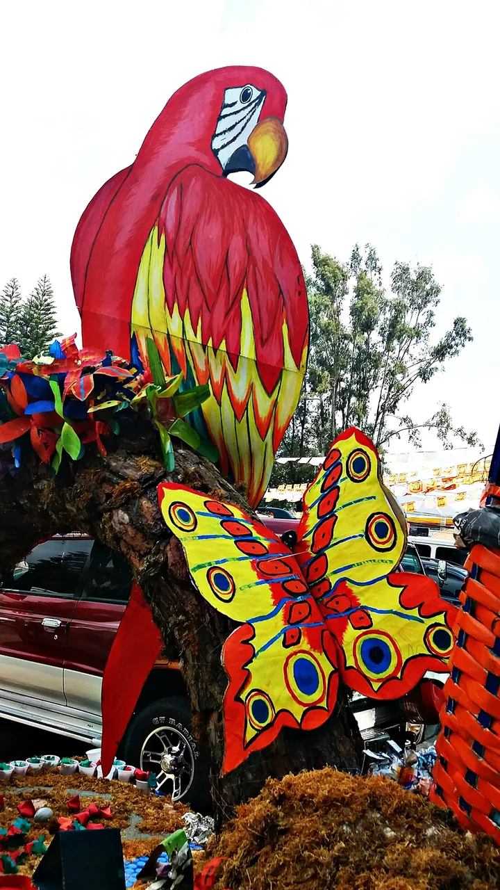 Parrot and butterfly.jpg