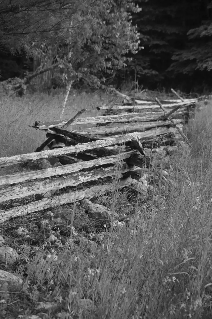 Rail Fence