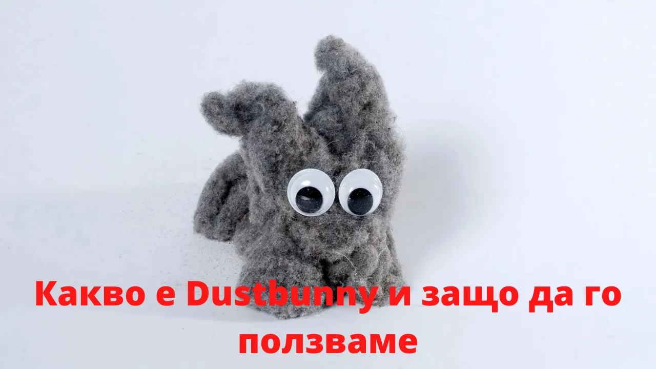 _dustbunny_.png