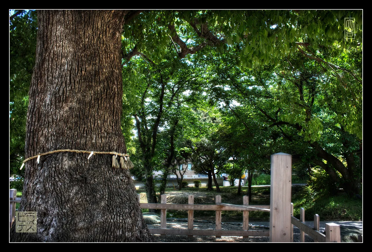 sacred_tree.jpg
