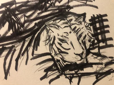 Here’s the final result