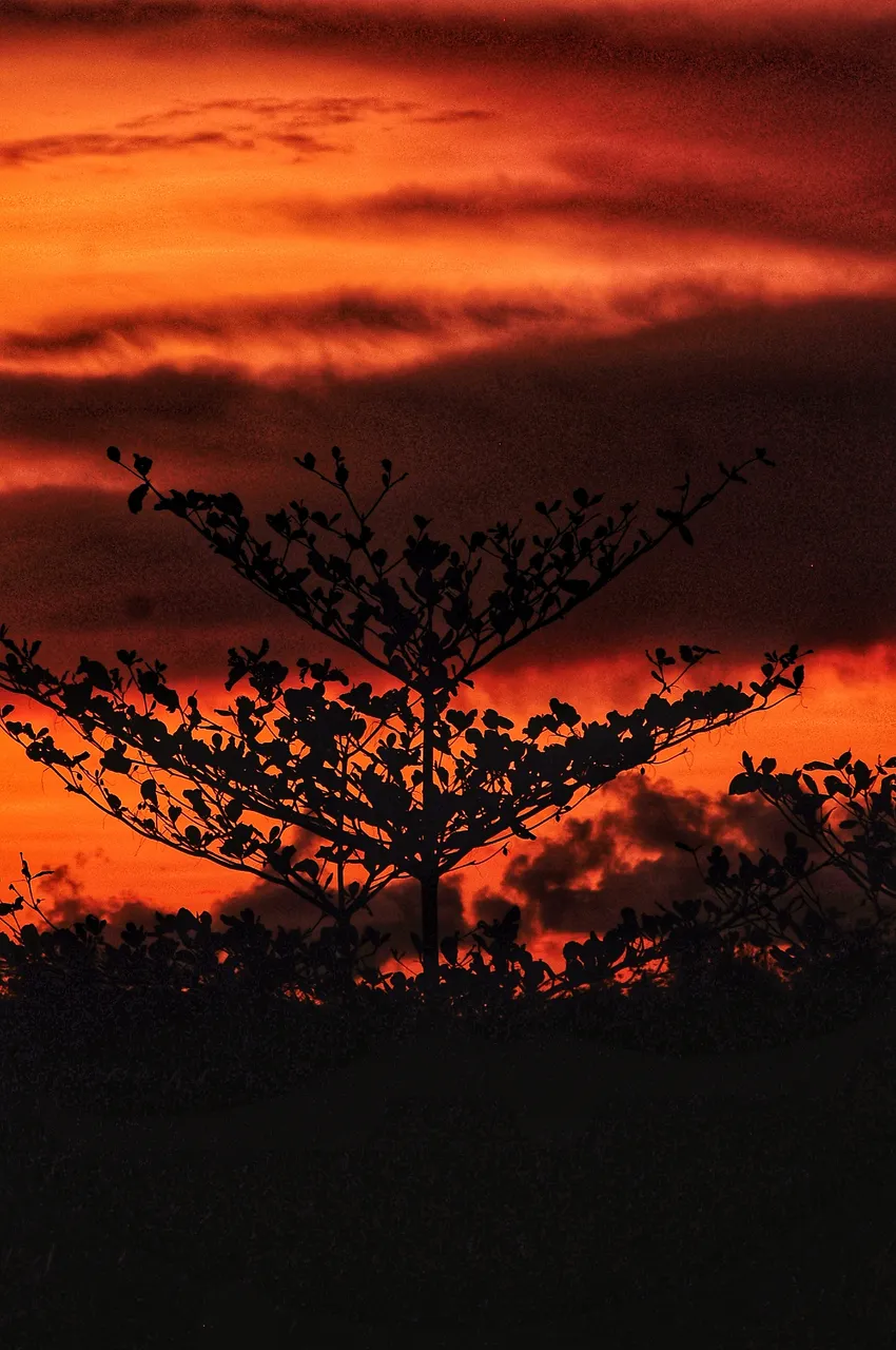 DSC_1221-01.jpeg