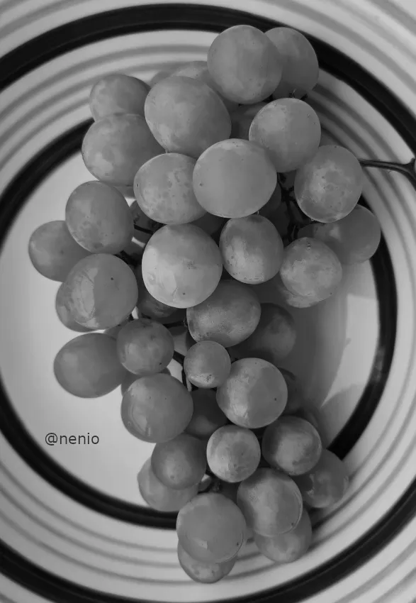 grapes-02-bw.jpg