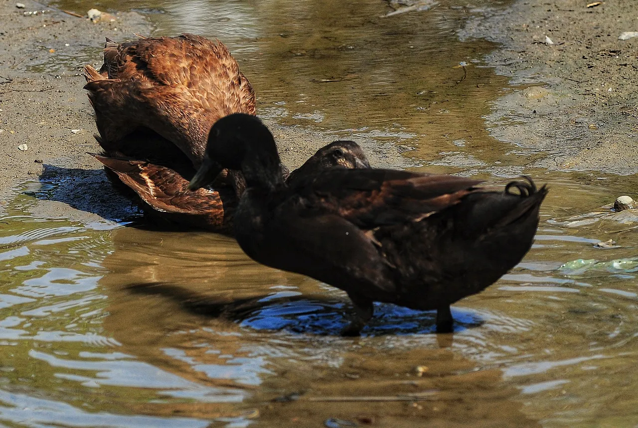 DSC_1883-01.jpeg