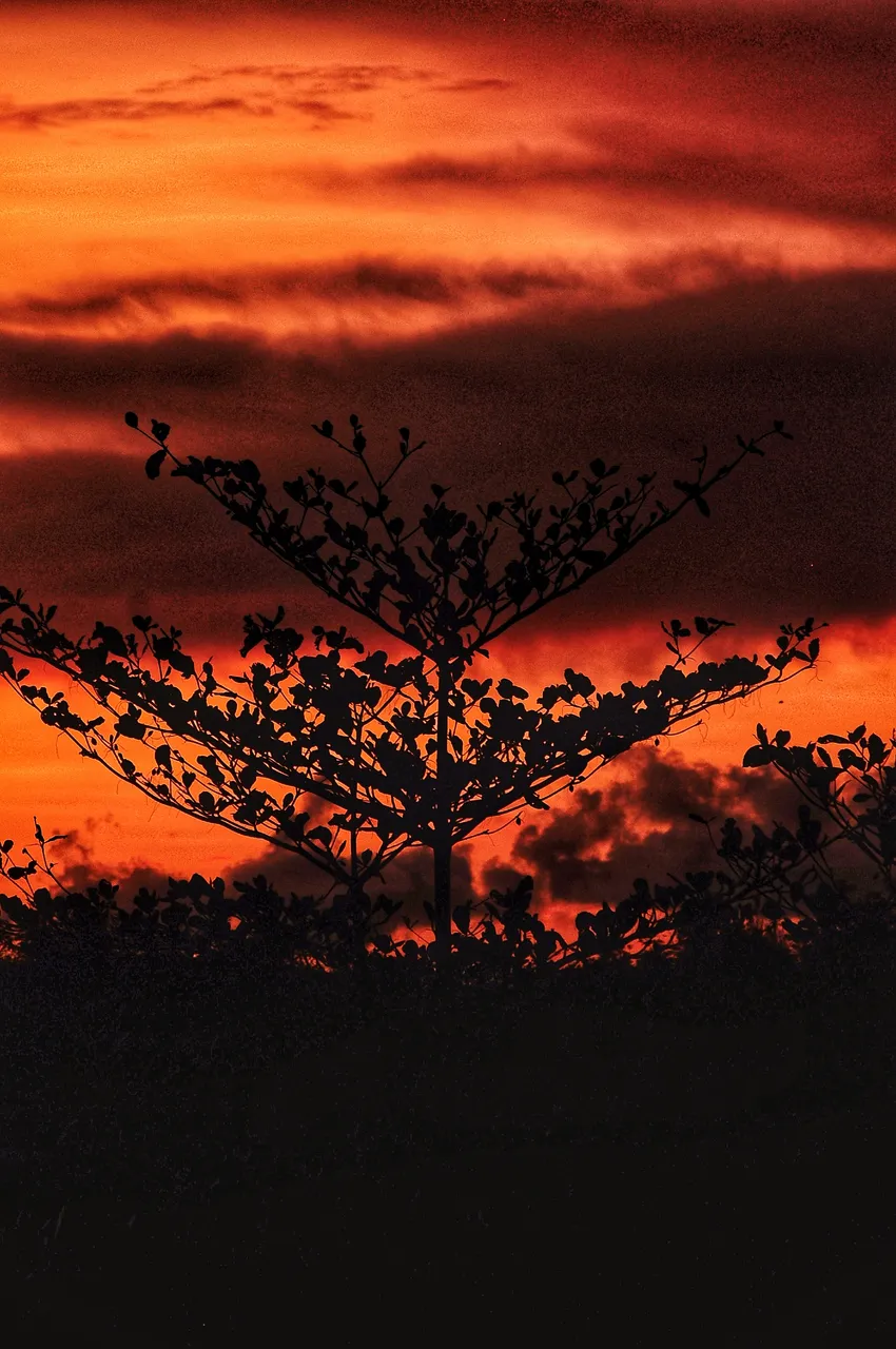 DSC_1220-01.jpeg